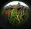 FishEye