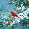 Cardinal in Snow