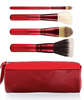 Adoring Carmine: 4 Face Brushes