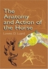 The Anatomy and Action of the Horse (Dover Art Instruction) - Lowes D. Luard