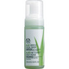 Body Shop - Aloe Gentle Facial Wash