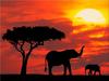 Sunset in Africa