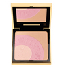 YSL Y-MAIL COMPLEXION PALETTE #1 Face Highliter