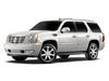 Сadillac Escalade Hybrid White