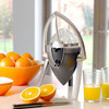 small citrus juice extractor