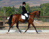 Horse riding courses