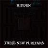 These New Puritans - Hidden