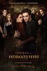 Новолуние - New moon DVD