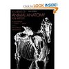 An Atlas of Animal Anatomy for Artists