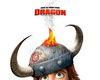 How to Train Your Dragon DVD