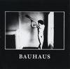 Bauhaus - In the Flat Field