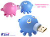 USB Flash 8 Gb