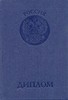 Диплом о высшем профессиональном образовании РФ