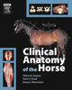 Clinical Anatomy of the Horse