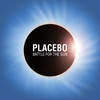 поехать на концерт Placebo