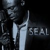 посетить концерт SEAL