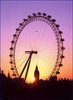 Прокатиться на London Eye (h=135 м)