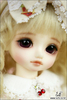 BJD Doll