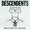 Descendents vinyl