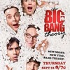 The Big Bang Theory (4th season)