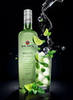 Bacardi Mojito