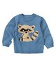 Raccoon Sweater