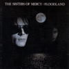 Sisters Of Mercy -Floodland