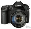 canon 40d