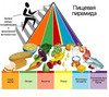 Правильно питаться