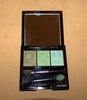 SHISEIDO Luminizing Satin Eye Color Trio GR305 (Jungle)