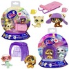 Кошечки из Littlest pet shop