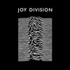 Футболка Joy Divivsion "Unknown Pleasures"