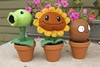 plants vs zombies