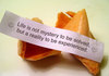 fortune cookies