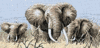 Power Of The Serengeti Elephant Dimensions