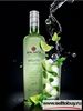 Bacardi Mojito