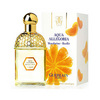 Perfume Guerlain Aqua Allegoria