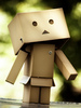 Danboard