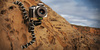 Joby Gorillapod SLR-Zoom