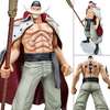 POP Newgate WhiteBeard