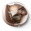 Тени Smoky Eyes от Bourjois