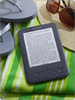 Kindle 3G