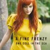 A Fine Frenzy - One Cell in the Sea