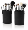 Sigma 12 brush kit