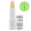 Caudalie Lip Conditioner