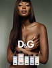 D&G № 3 L ' Imperatrice