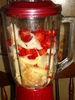 fruit/vegetable mixer