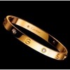 Cartier love bracelet