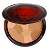 Terracotta Light Sheer Bronzing Powder