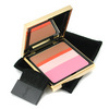 YSL пудра Palette d'artiste